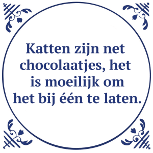 Tegeltje met spreuk: Katten zijn net chocolaatjes